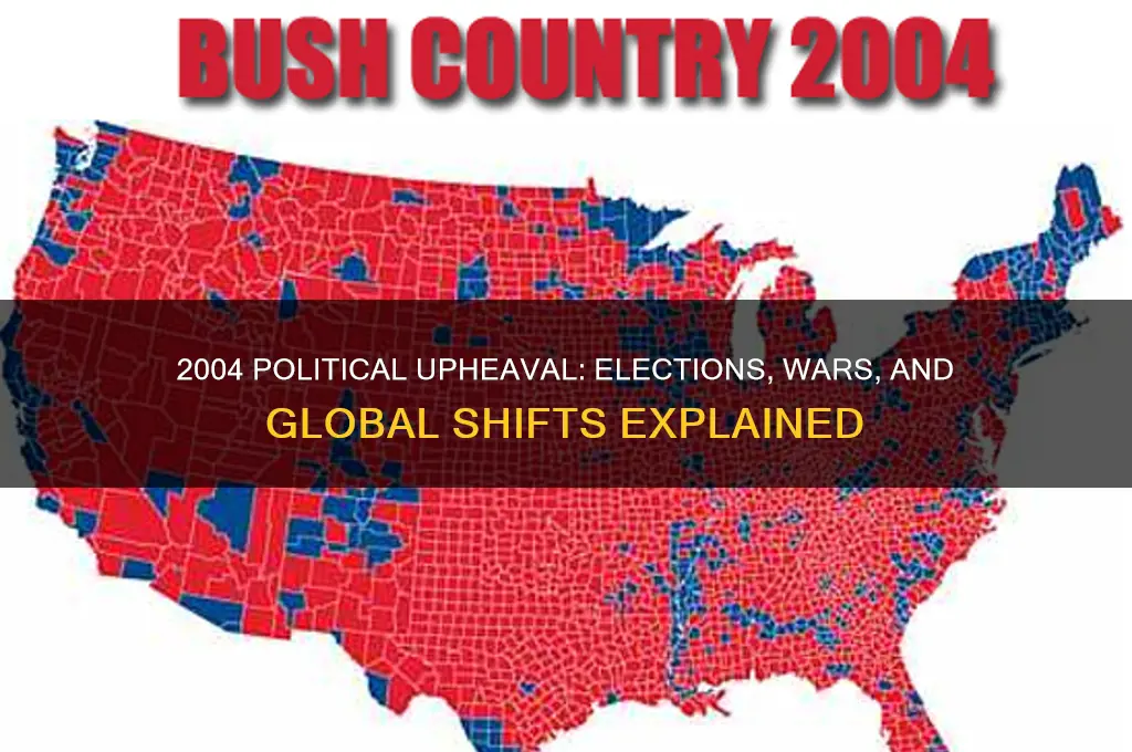 what happened in 2004 politics