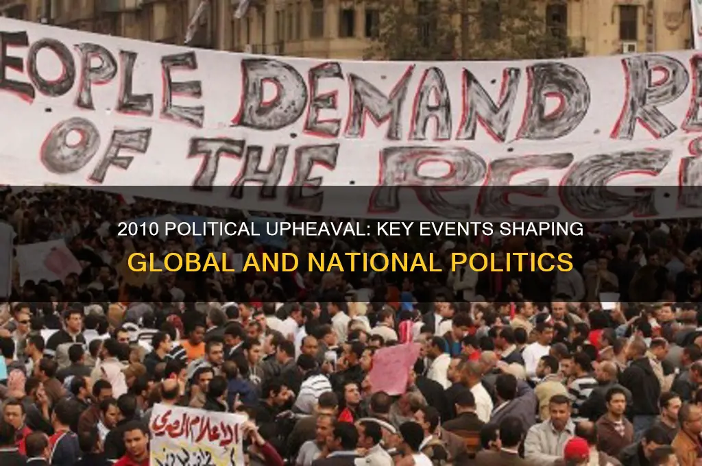 what happened in 2010 politics