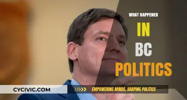 BC Politics Unpacked: Key Events and Shifts in Recent Years