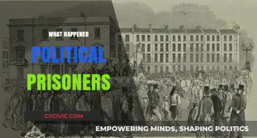 What Happened to Political Prisoners: A Historical Overview and Analysis