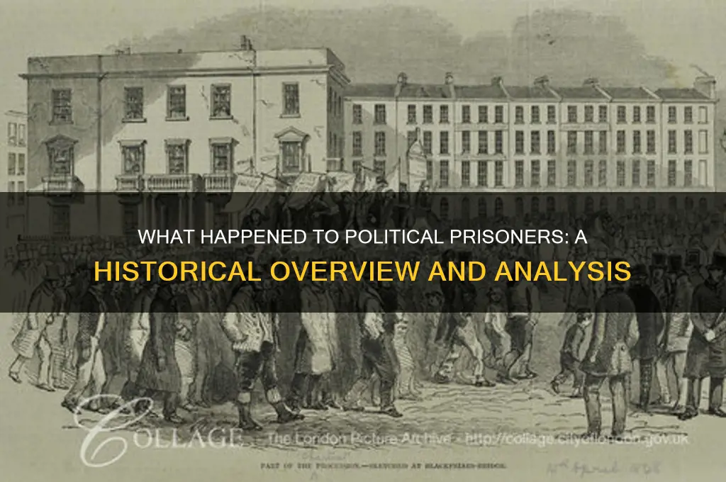 what happened political prisoners
