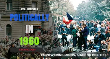 1960 Political Turmoil: Elections, Revolutions, and Global Shifts Explained