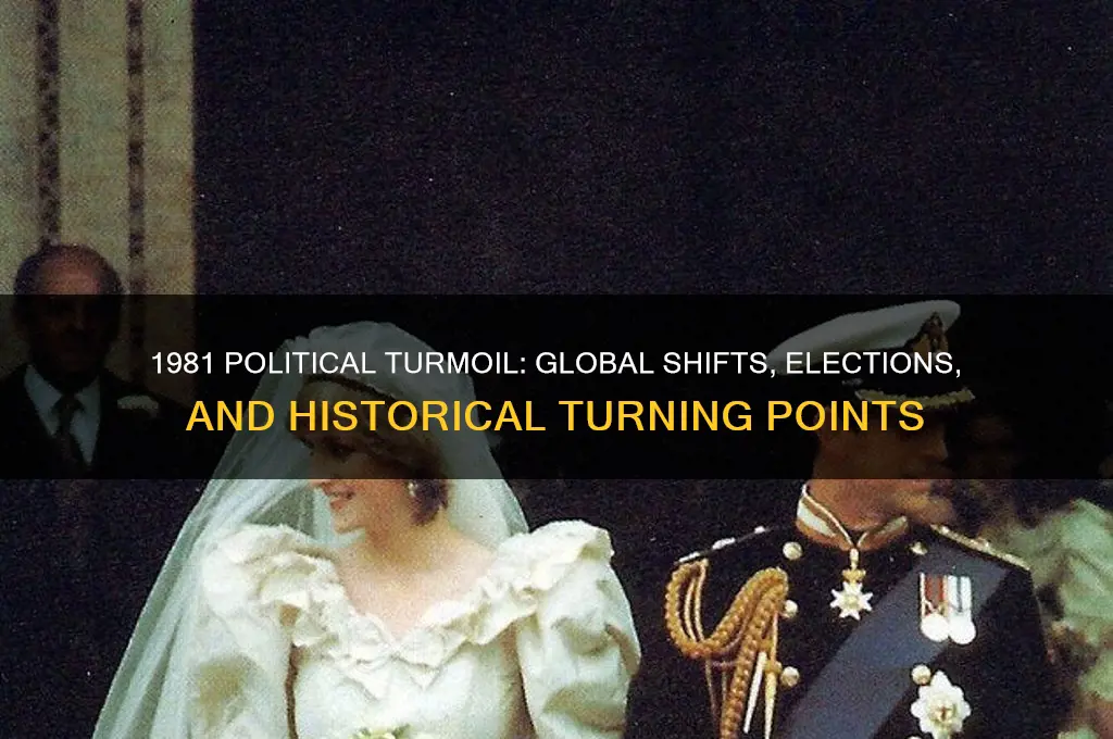 what happened politically in 1981
