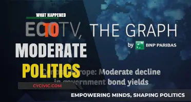 The Vanishing Center: What Happened to Moderate Politics?