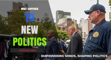 The Rise and Fall of New Politics: What Went Wrong?