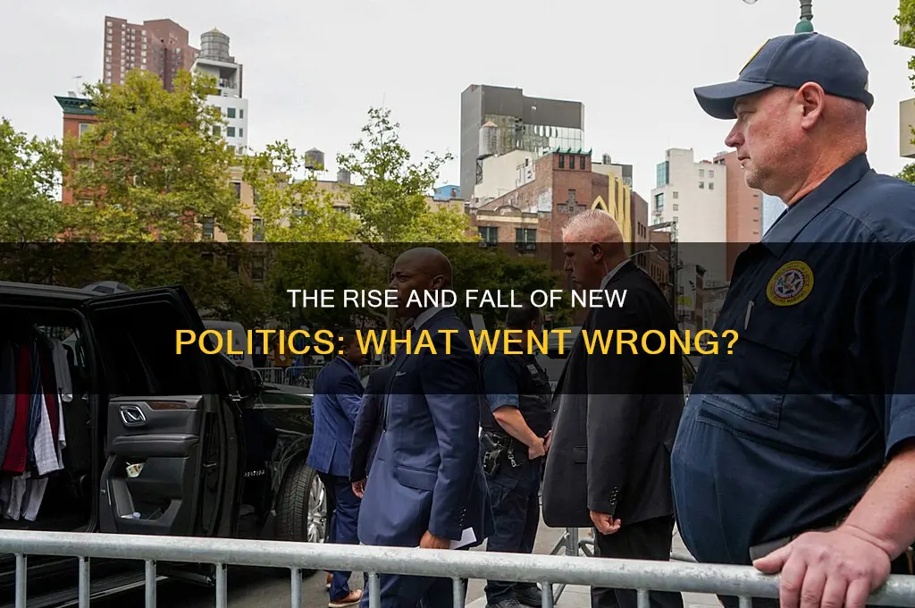 what happened to new politics