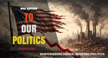 What Happened to Our Politics: A Deep Dive into the Crisis