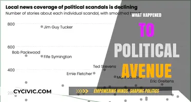 The Decline of Political Avenue: Causes and Consequences Explored