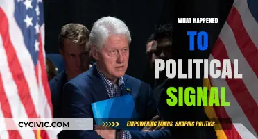 The Decline of Political Signal: Causes, Consequences, and Future Implications