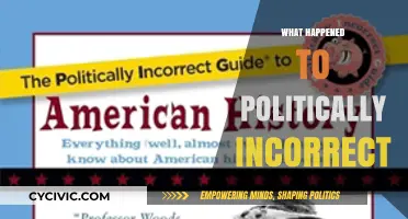 The Rise and Fall of Politically Incorrect: A Cultural Shift