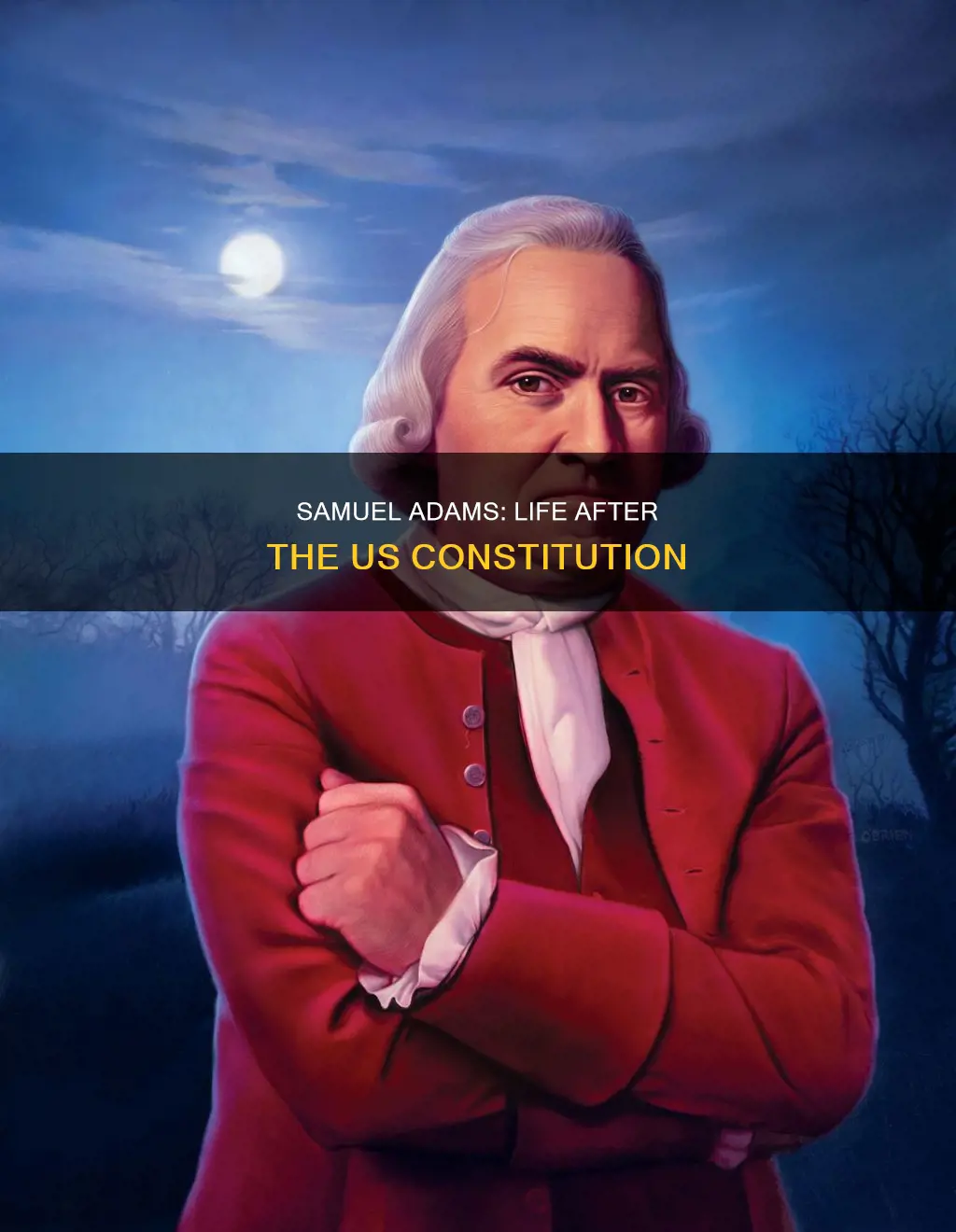what happened to samuel adams after the constitution was written