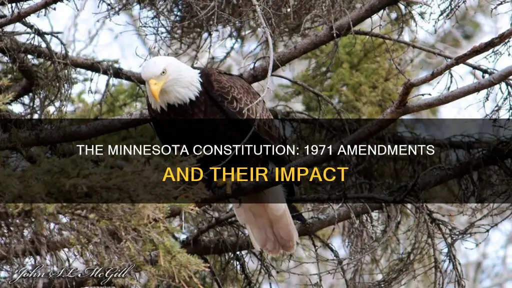 what happened to the minnesota constitution in 1971
