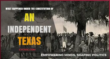 Texas Constitution: The Lone Star Legacy