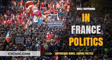 France's Political Landscape: Shifts, Scandals, and Upcoming Elections