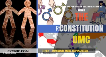 UMC Constitution Amendments: What's Next After Delegate Votes?