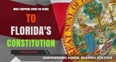 Florida's Constitution: The 20-Year Evolution