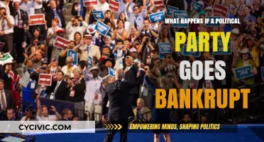 Political Party Bankruptcy: Consequences, Challenges, and the Future of Democracy