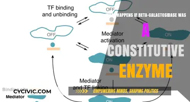 Beta-Galactosidase: Always On, Never Off