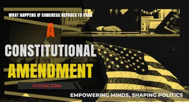 Congressional Block: Understanding Constitutional Amendment Passage