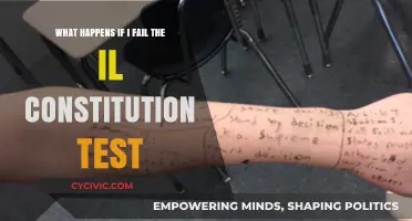 Failing the IL Constitution Test: What Next?