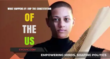 Consequences of Tearing the US Constitution