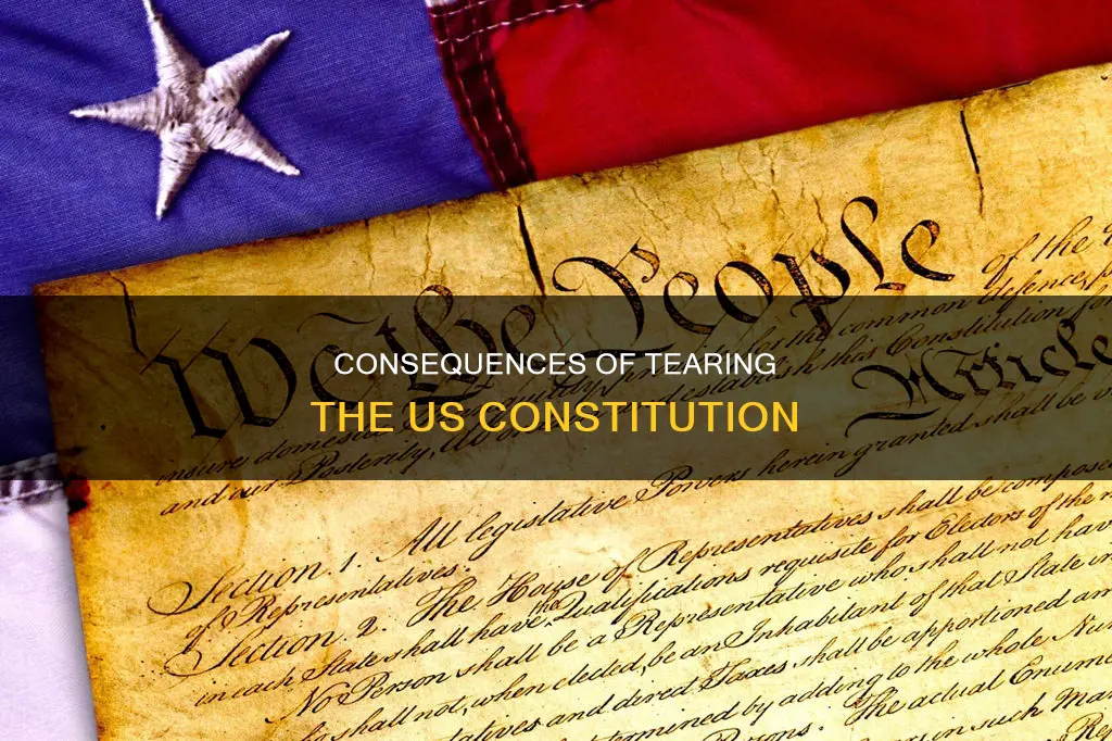 what happens if i rip the constitution of the us