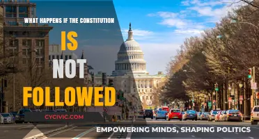 Consequences of Ignoring the Constitution