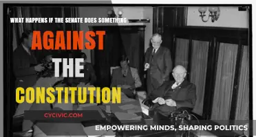 Senate vs Constitution: What are the Consequences?