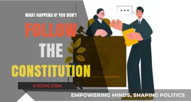 Consequences of Ignoring the Constitution