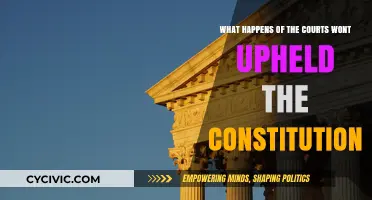The Constitution: Courts, Consequences, and the Future