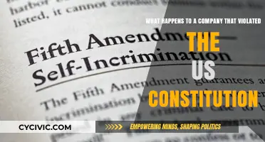 Consequences for Companies Violating the US Constitution