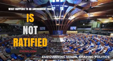 Unratified Amendments: What's Their Fate?