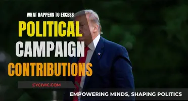 Where Do Excess Political Campaign Contributions Go?