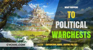 Political Warchests: Fate, Impact, and Post-Campaign Financial Strategies Explored