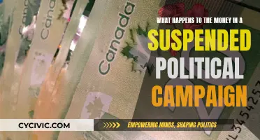 Where Does the Money Go in Suspended Campaigns?