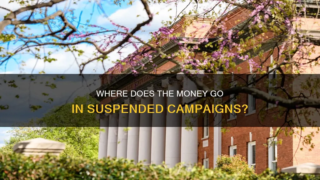 what happens to the money in a suspended political campaign