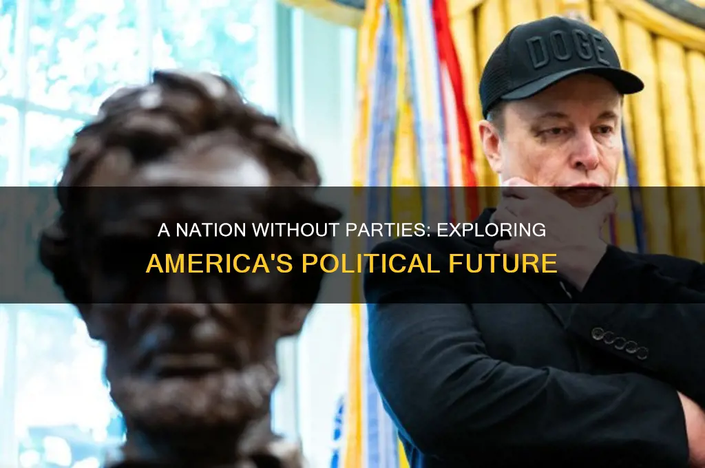 what happens to the us with no political parties