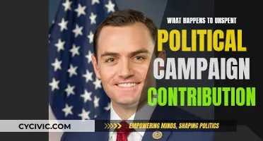 Where Do Unspent Campaign Contributions Go?