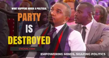 The Aftermath of Political Collapse: When a Party Disintegrates