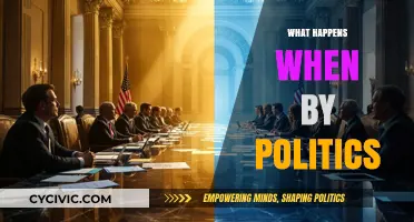 When Politics Collide: Unraveling Consequences and Societal Shifts