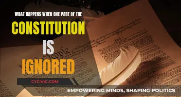 Consequences of Ignoring Constitutional Provisions