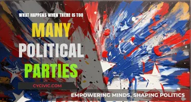 Too Many Cooks in the Political Kitchen: The Chaos of Multiparty Systems