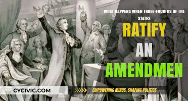 States Ratify Amendments: What's Next?