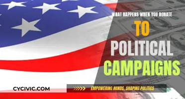 Donations' Impact: Political Campaigns and Their Future