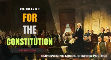 The Constitution: What's in it for Us?
