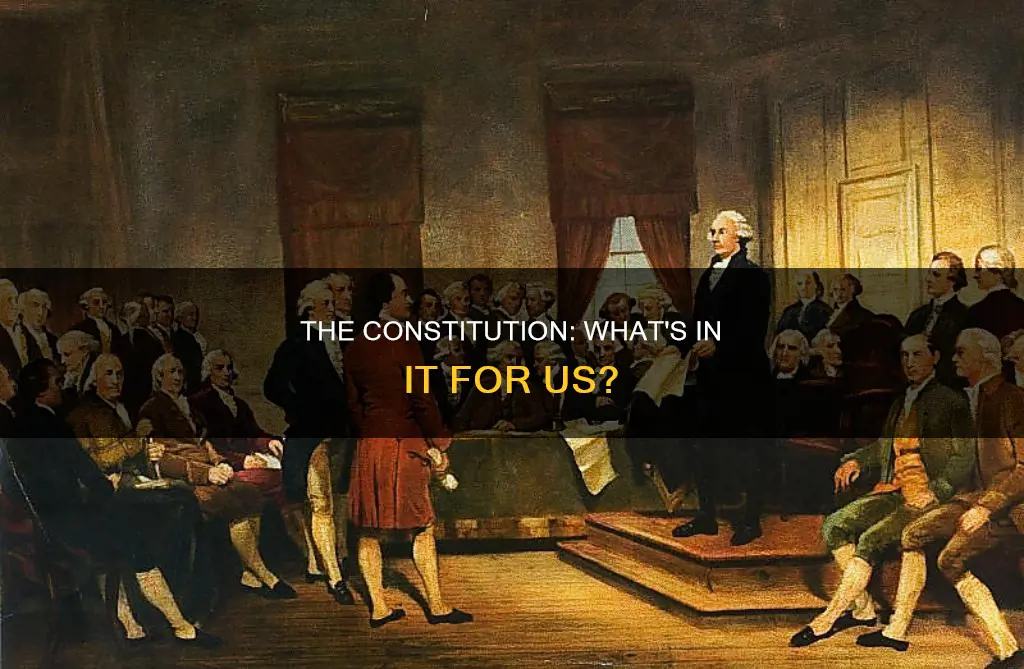 what has a z in it for the constitution