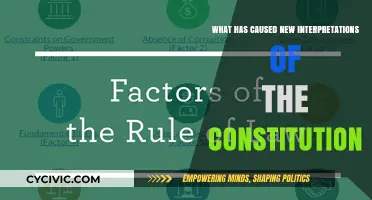 Modern Interpretations of the Constitution: A Changing World