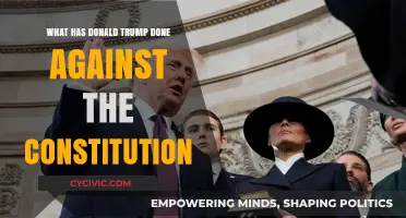 Trump's Constitutional Oversteps: A Comprehensive Review