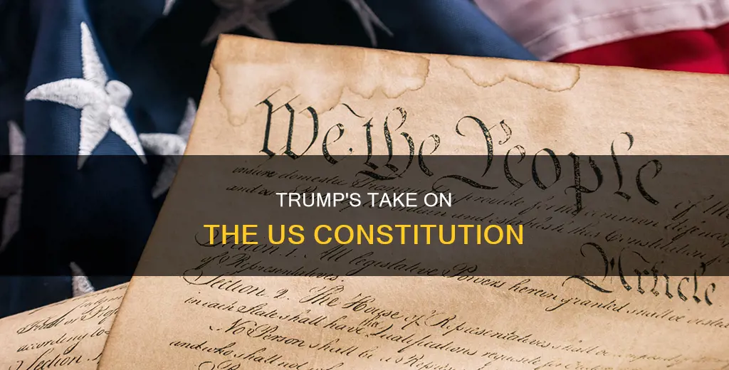 what has donald trump said about the constitution