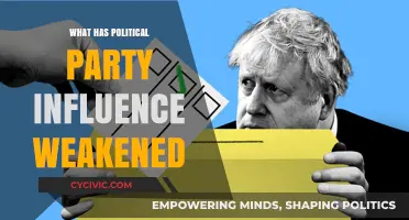 Declining Political Party Influence: Causes and Consequences in Modern Politics